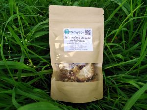 Paquete con setas melena de león deshidratas sobre la hierba